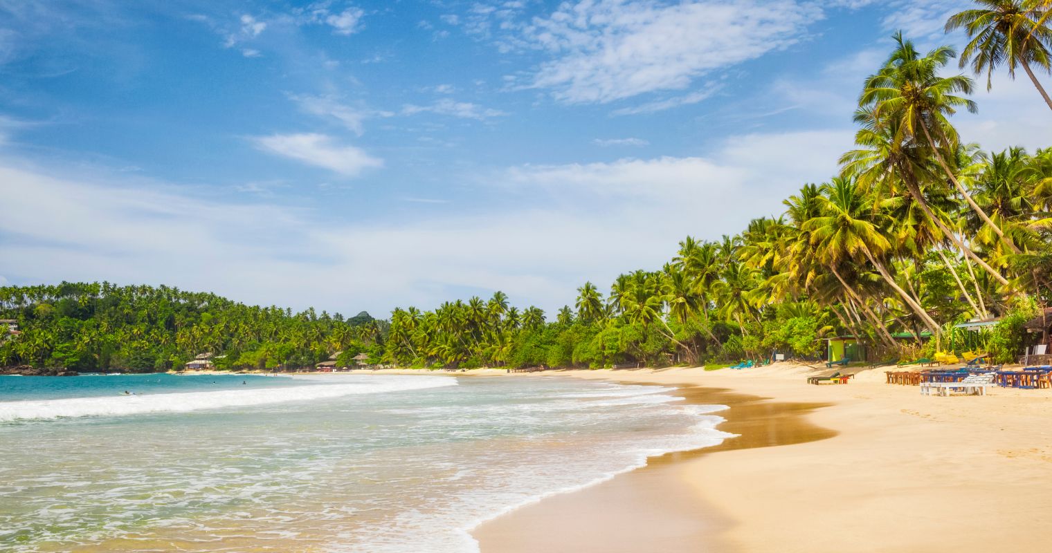 Scuba Diving and Snorkeling